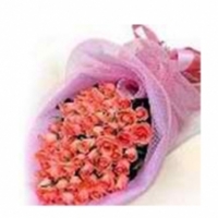 3 Dozen Pomelo Pink roses Boquet